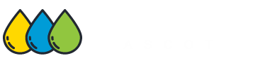Carpet Cleaning Ascot
